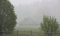 Rainy day at the barn