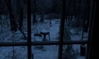 A quiet winter's night in an old apartment