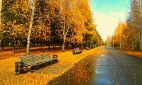 A relaxing park in the middle of a bustling city