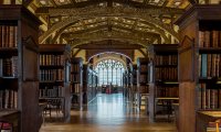 Reading in the library