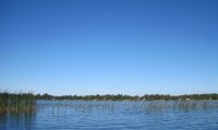 Minnesota Lake