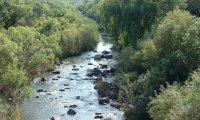 Exotic River in Jungle