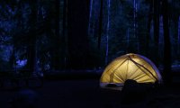 Camping At Night