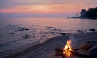 Campfire on an evening forest beach with ocean waves.