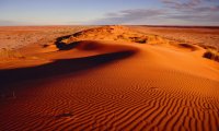 dunes and wind