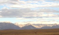 On the steps of Edoras