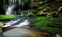 Waterfall in Forest