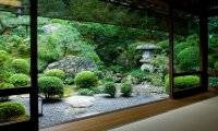 Zen Garden