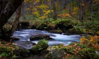 Peaceful river  in Rivendell