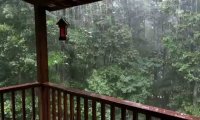 Porch-sittin' in a Rainstorm