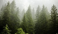 Thunderstorm by a Creek