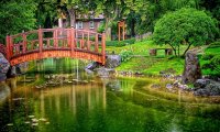 Japanese Garden Rain Song