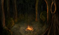 Campfire in the forest