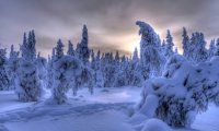 Eerie Winterlands