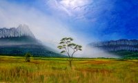 Lonely campfire in the Gran Savana in Venezuela