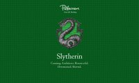 The Slytherin Common Room