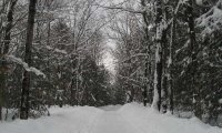 Walking around a silent town.