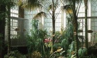 Hogwarts - Greenhouse Study