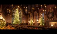 Eat dinner in the Great Hall at Christmastime