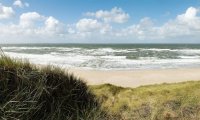 Dune at the sea