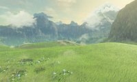 LoZ:BotW - Rain on Rabia Plain