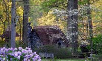 Evening at a Garden Cottage