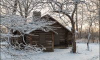 Winter Cabin with a Cat