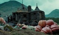 At Home in Hagrid's Hut