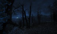 Nighttime in the Commonwealth