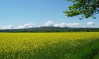 Sunny summer day