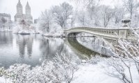 Central Park Sleigh Ride at Christmas