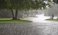 Heavy rain storm with thunder