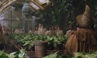 Harry Potter's Herbology Class