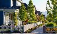 A Summer Afternoon in Suburbia