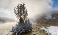 Snowy Sunrise, Mammoth Hot Springs