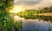 En mi audio se escuchan sonidos de agua y un ambiente de naturaleza.