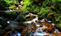 A rest by the stream