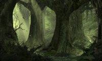 Ancient Ambience - Dark Swamp Forest