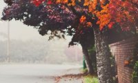 Writing in a park on an autumn day