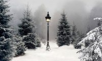 Narnia In the Winter