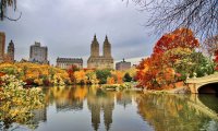 a nice stroll on an autumn day