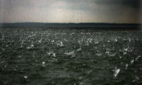 heavy rain on the ocean