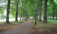 Windy Morning at the Park