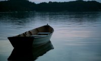 Boat on Forest Lake