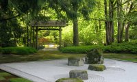 Japanese Zen Garden