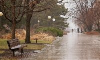 Rainstorm with heavier rain and wind