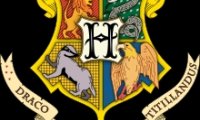 Quidditch Gryffindor vs. Hufflepuff