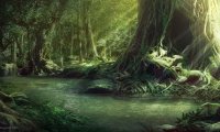 D&D Fantasy Forest