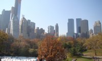 Sitting on a Park Bench in a big City