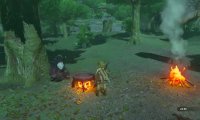 Hyrule Field; river, campfire, and various forest sounds